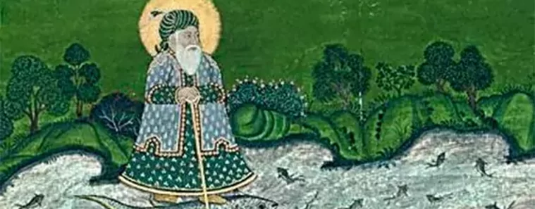 NOVEDAD. El simbolismo del color verde